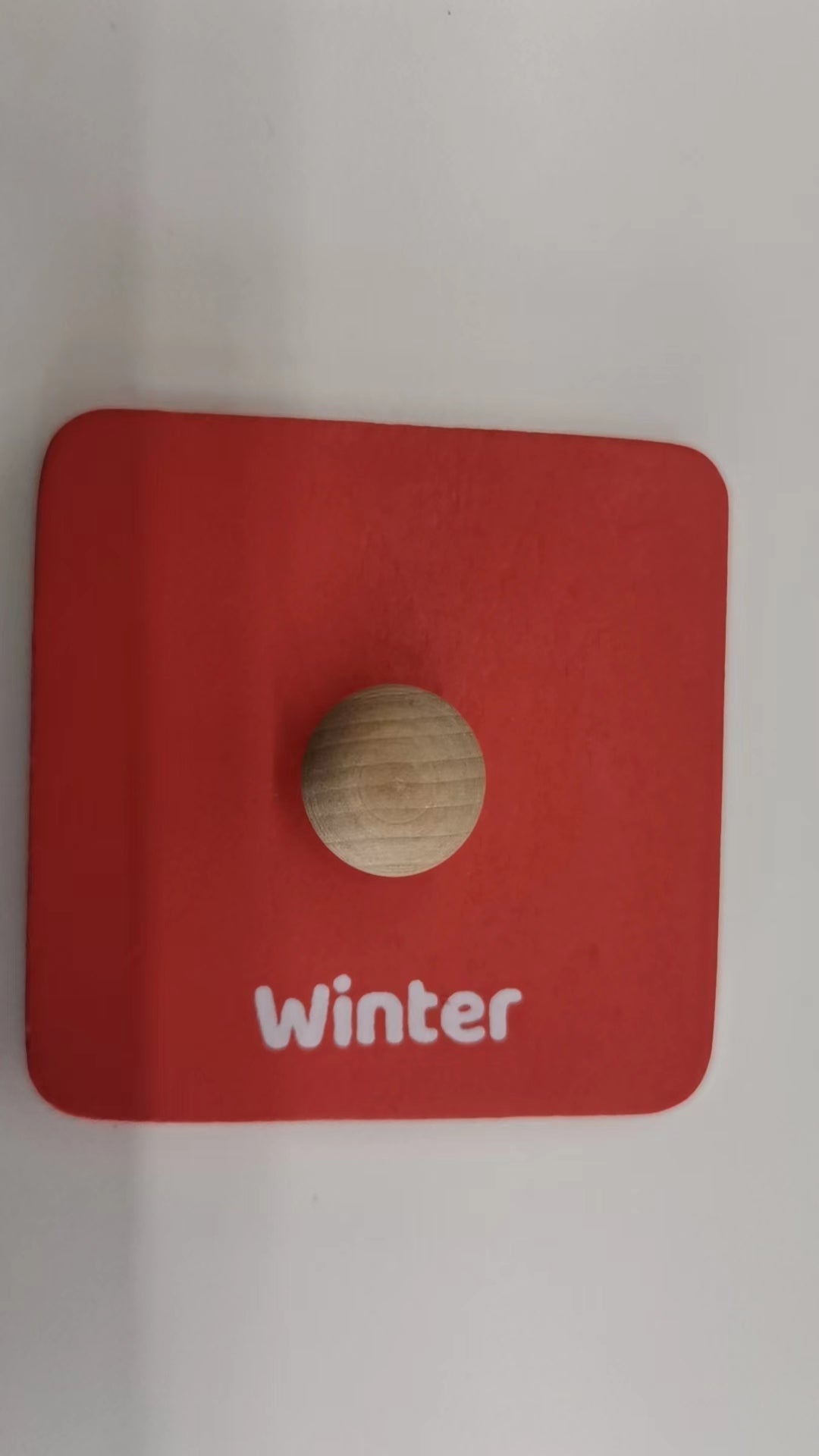 Montessori Toys for Toddlers (19-24month) Accessories(TLTGMT003)