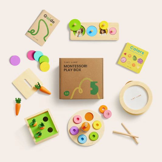 Tiny Land® Montessori Toys Set for Toddlers (13-15 month)