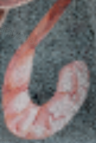 Tiny Land® Organic Meat & Seafood Pack ACC