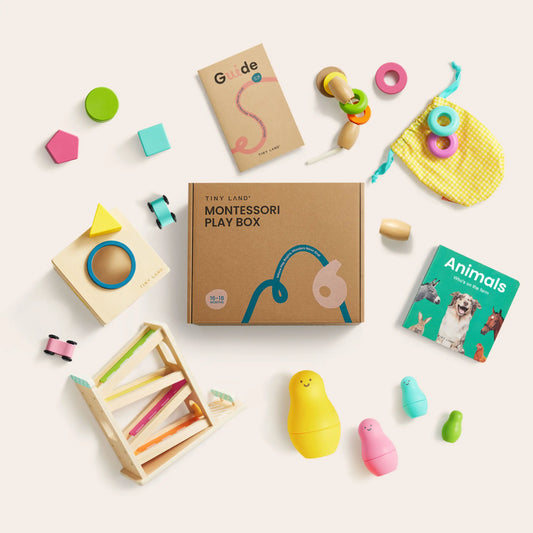 Tiny Land® Montessori Toys Set for Toddlers (16-18 month) Accessories