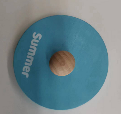 Montessori Toys for Toddlers (19-24month) Accessories(TLTGMT003)