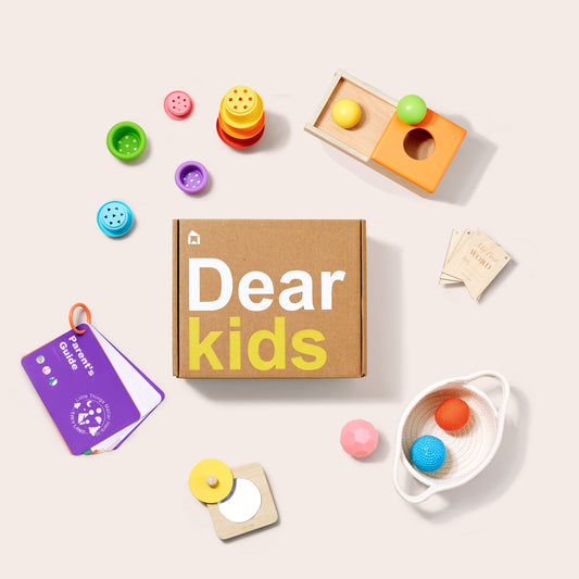 Tiny Land® Montessori Toys Set for Newborns (6-9 month) Accessories