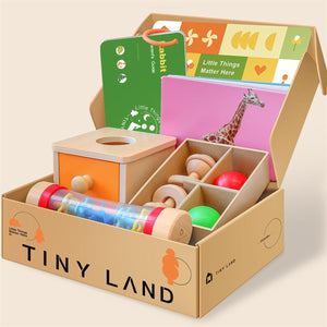 Montessori Toys Set for baby Accessories(WT0014)