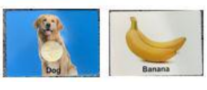 Load image into Gallery viewer, Montessori Toys Set for baby Accessories(WT0014)
