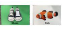 Load image into Gallery viewer, Montessori Toys Set for baby Accessories(WT0014)
