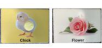 Load image into Gallery viewer, Montessori Toys Set for baby Accessories(WT0014)
