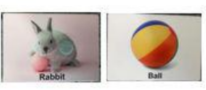 Load image into Gallery viewer, Montessori Toys Set for baby Accessories(WT0014)
