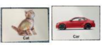 Load image into Gallery viewer, Montessori Toys Set for baby Accessories(WT0014)
